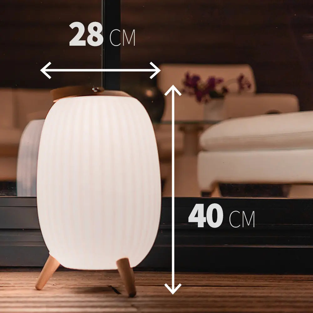 Ezilight Lanternes musicales bluetooth Ambiant L