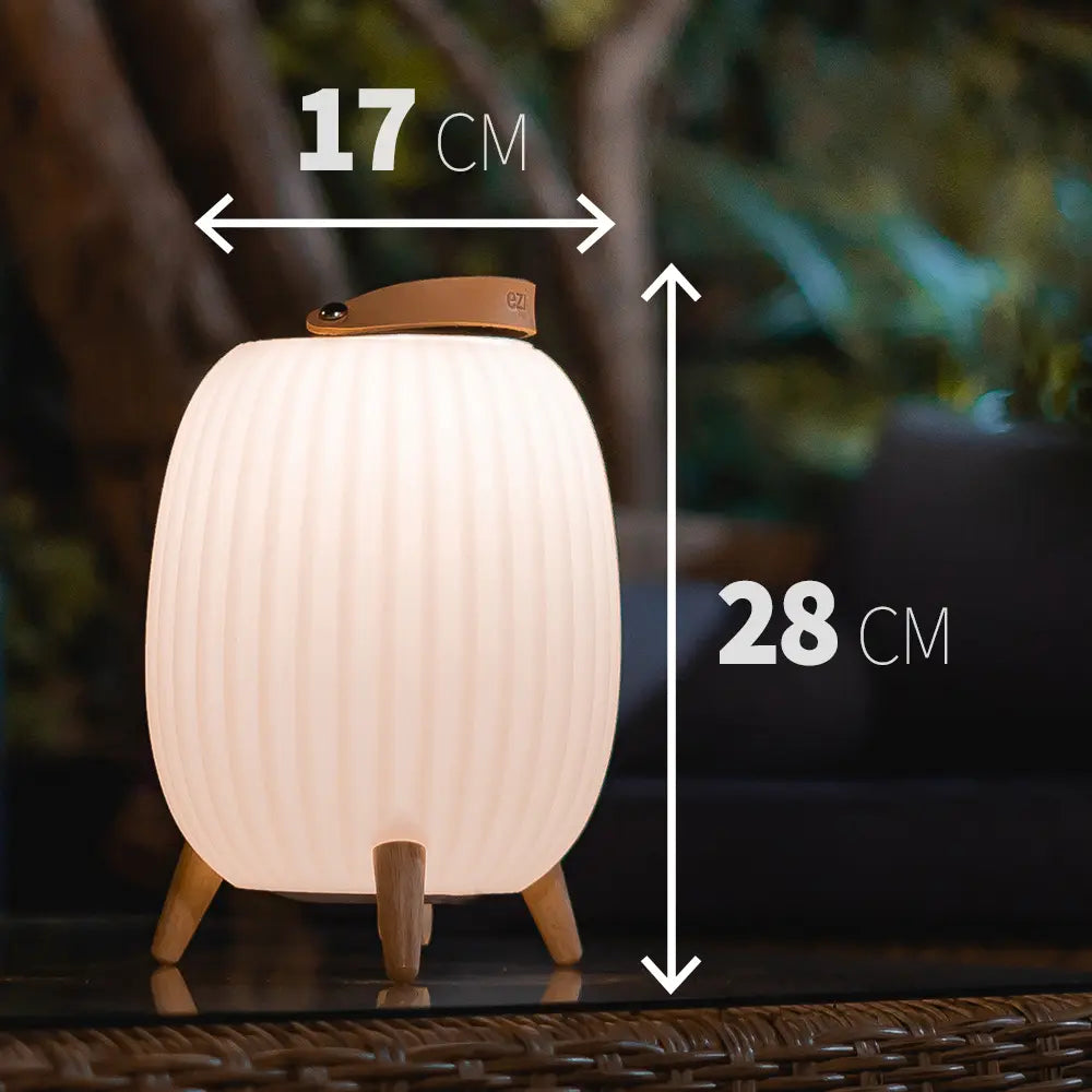 Ezilight Lanternes musicales bluetooth Ambiant M (lot de 2)