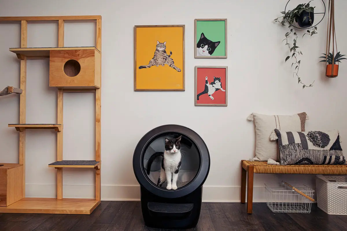 Litter-Robot 4 Litière automatique