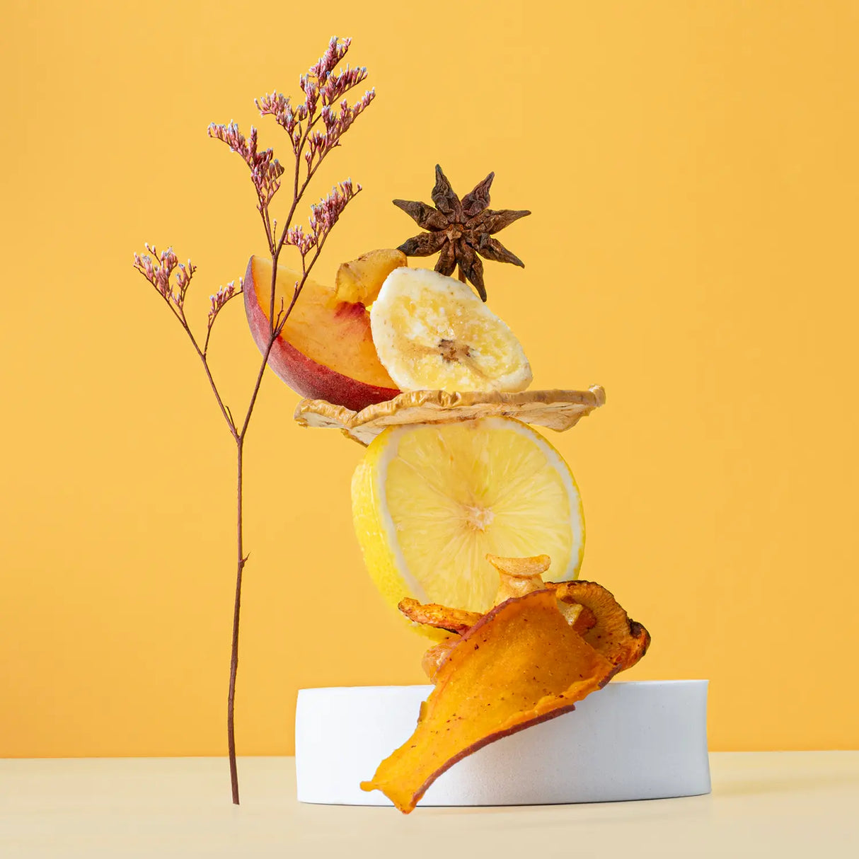 HKoenig Déshydrateur alimentaire