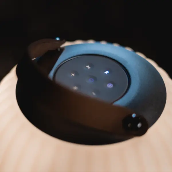 Ezilight Lanternes musicales bluetooth Ambiant M (lot de 2)