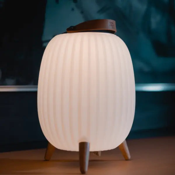 Ezilight Lanternes musicales bluetooth Ambiant M (lot de 2)