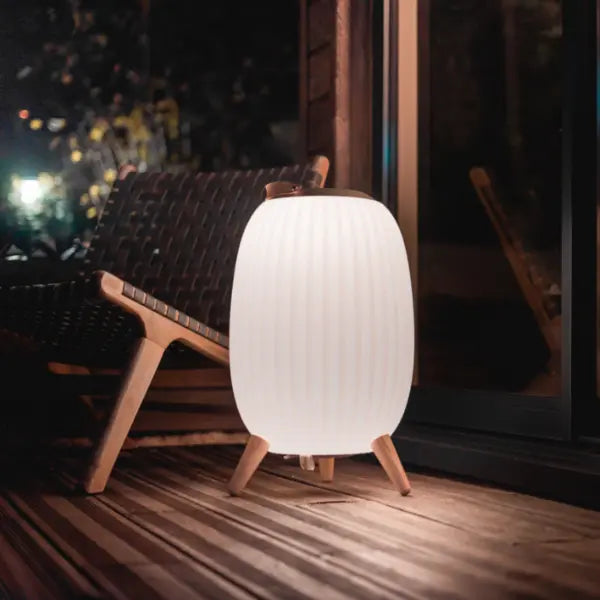 Ezilight Lanternes musicales bluetooth Ambiant XL