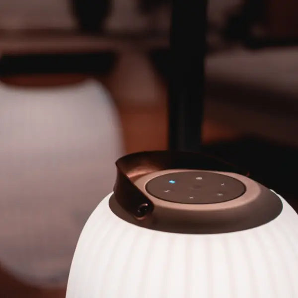 Ezilight Lanternes musicales bluetooth Ambiant XL