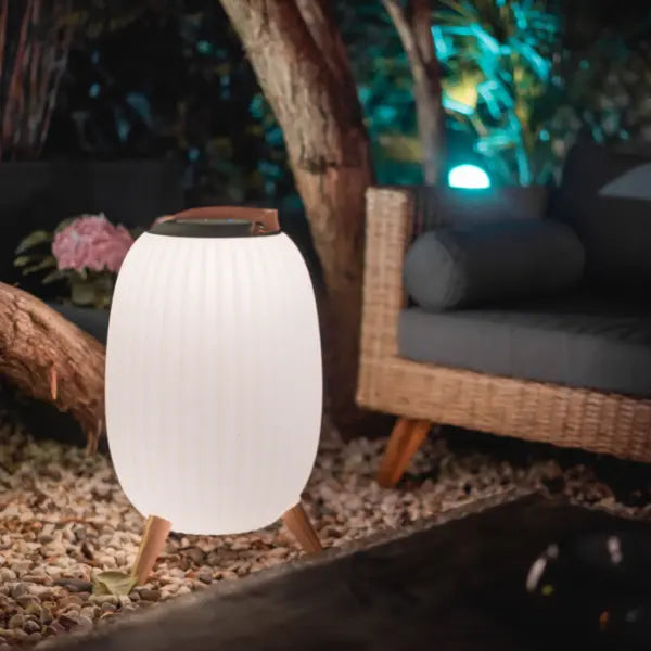 Ezilight Lanternes musicales bluetooth Ambiant XL