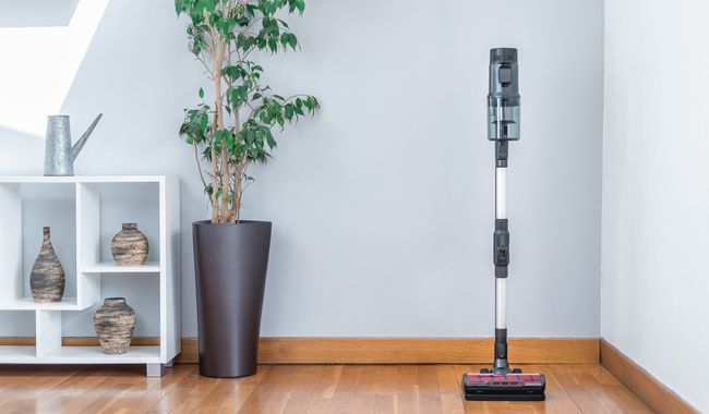 Eziclean Aspirateur balai Cycloboost FR15 Animal