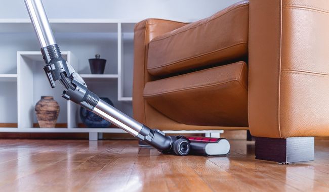 Eziclean Aspirateur balai Cycloboost FR15 Animal