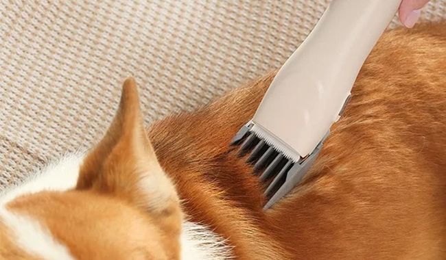 Eziclean Station de toilettage Animal