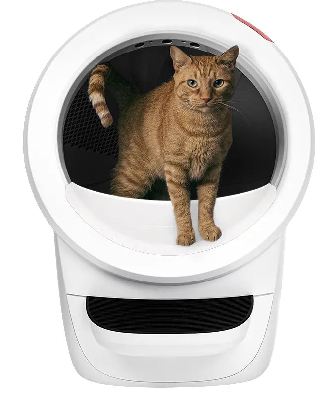 Litter-Robot 4 Litière automatique