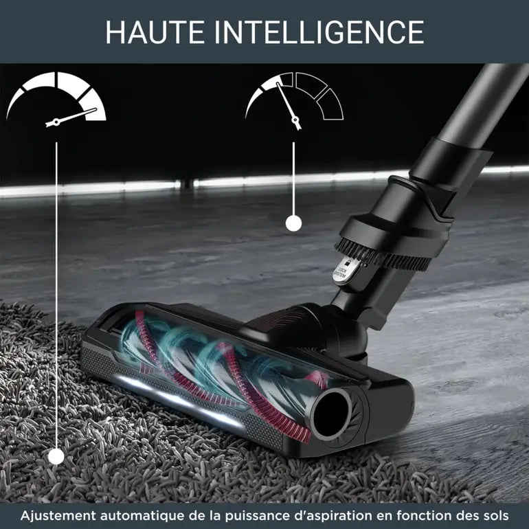 Rowenta Aspirateur balai X-Force Flex 9.60 Kit Animal