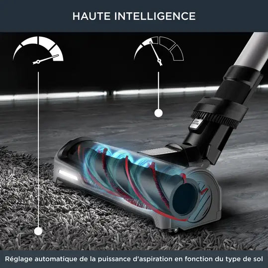 Rowenta X-Force Flex 14.60