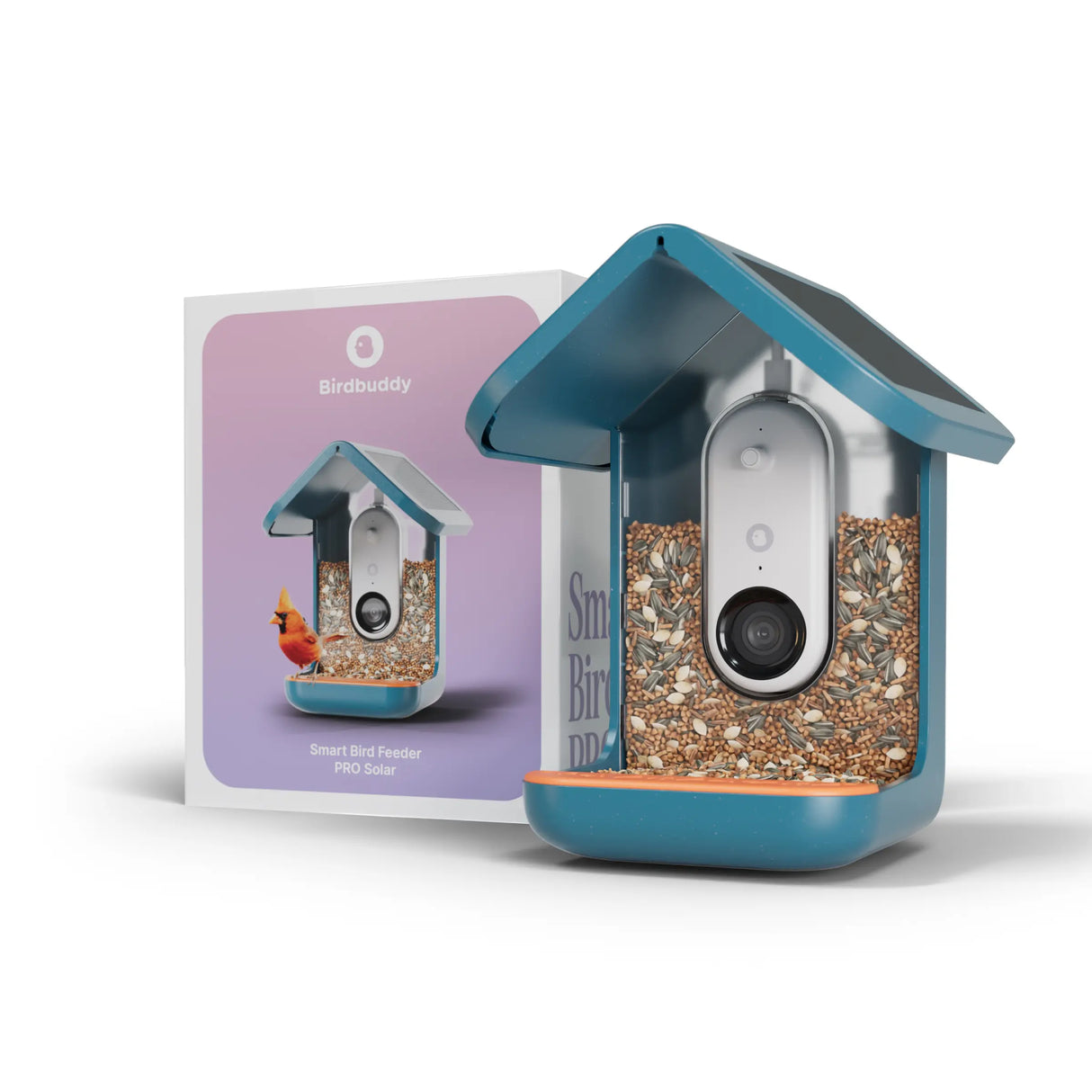 Birdbuddy Mangeoire à Oiseaux Pro Solar Smart Bird Feeder