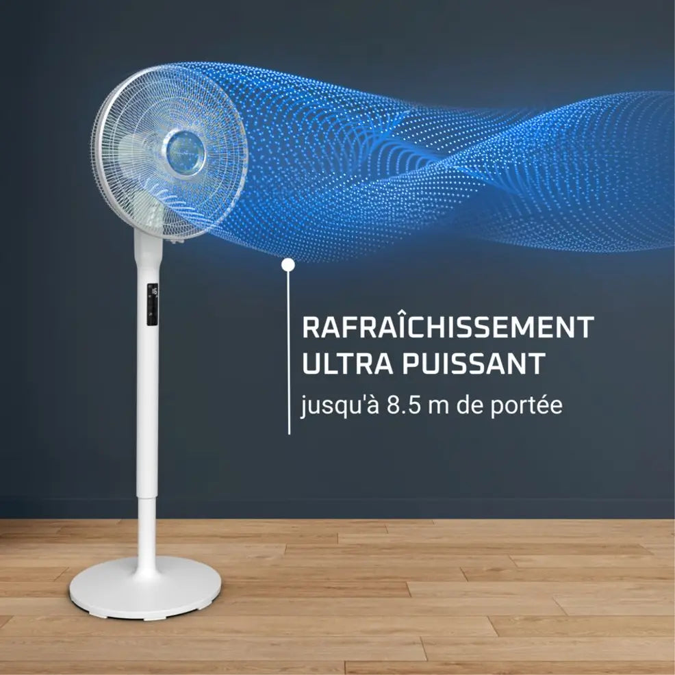 Rowenta Ventilateur Turbo Silence Extreme Plus
