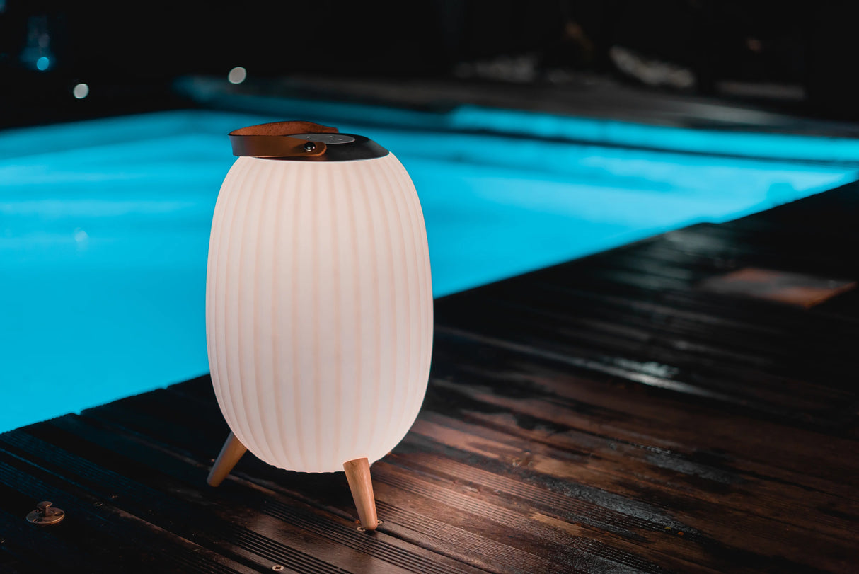 Ezilight Lanternes musicales bluetooth Ambiant L (lot de 2)