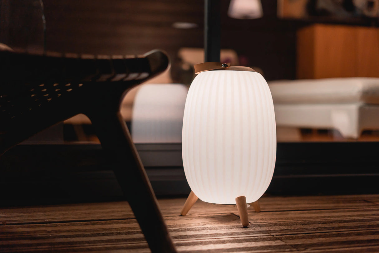 Ezilight Lanternes musicales bluetooth Ambiant L (lot de 2)