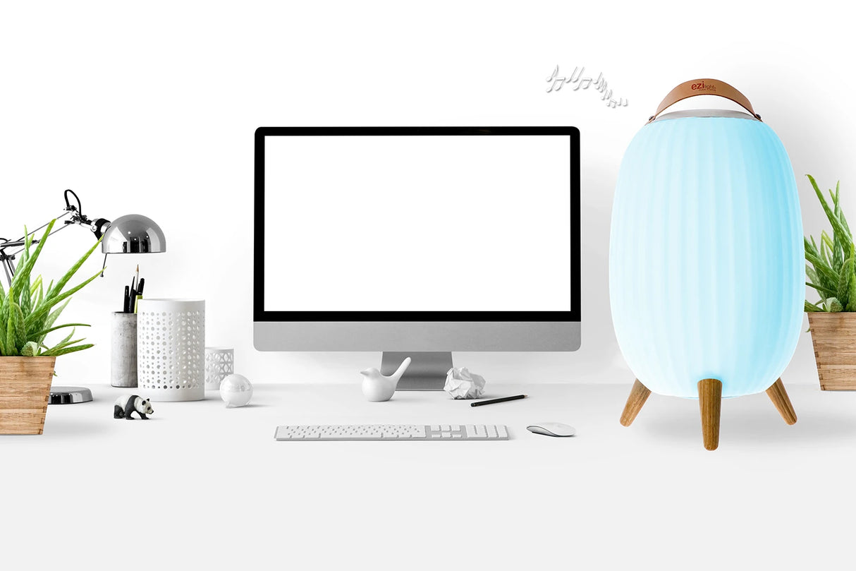 Ezilight Lanternes musicales bluetooth Ambiant XL