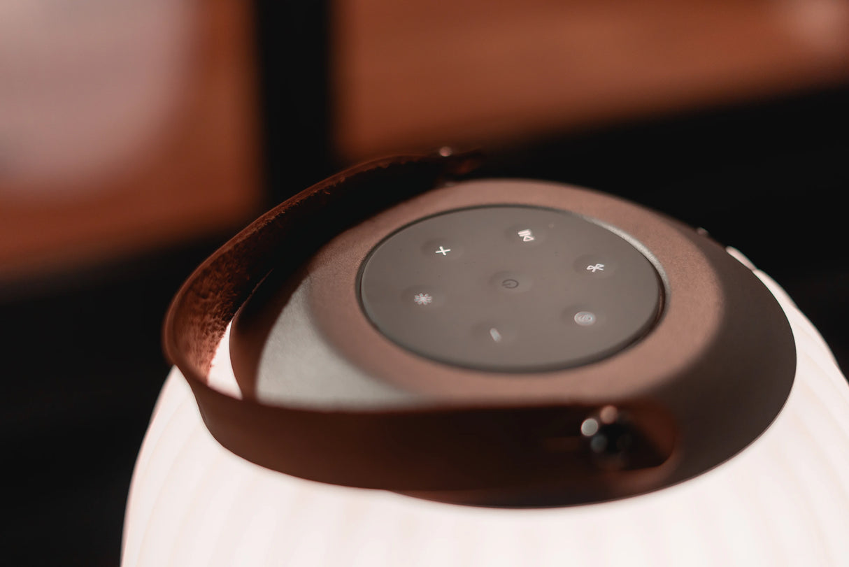 Ezilight Lanternes musicales bluetooth Ambiant L