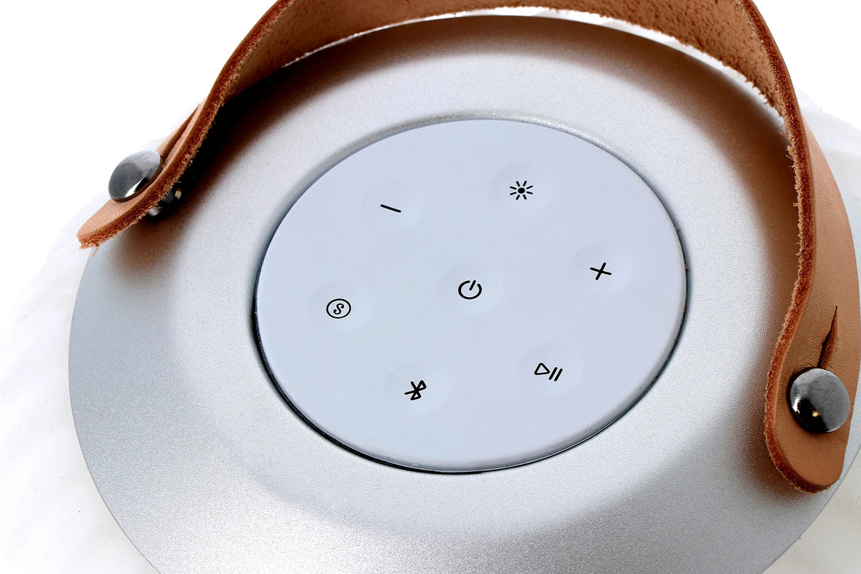 Ezilight Lanternes musicales bluetooth Ambiant M (lot de 2)