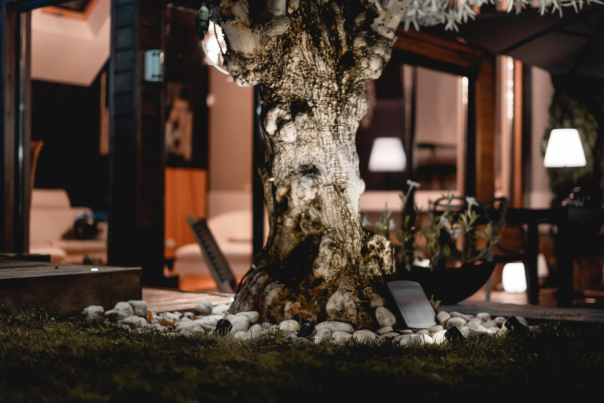 Ezilight Projecteurs solaires Solar multi spot (2 packs de 4 lampes)