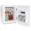 HKoenig mini bar vintage 31 L pose libre - toad8