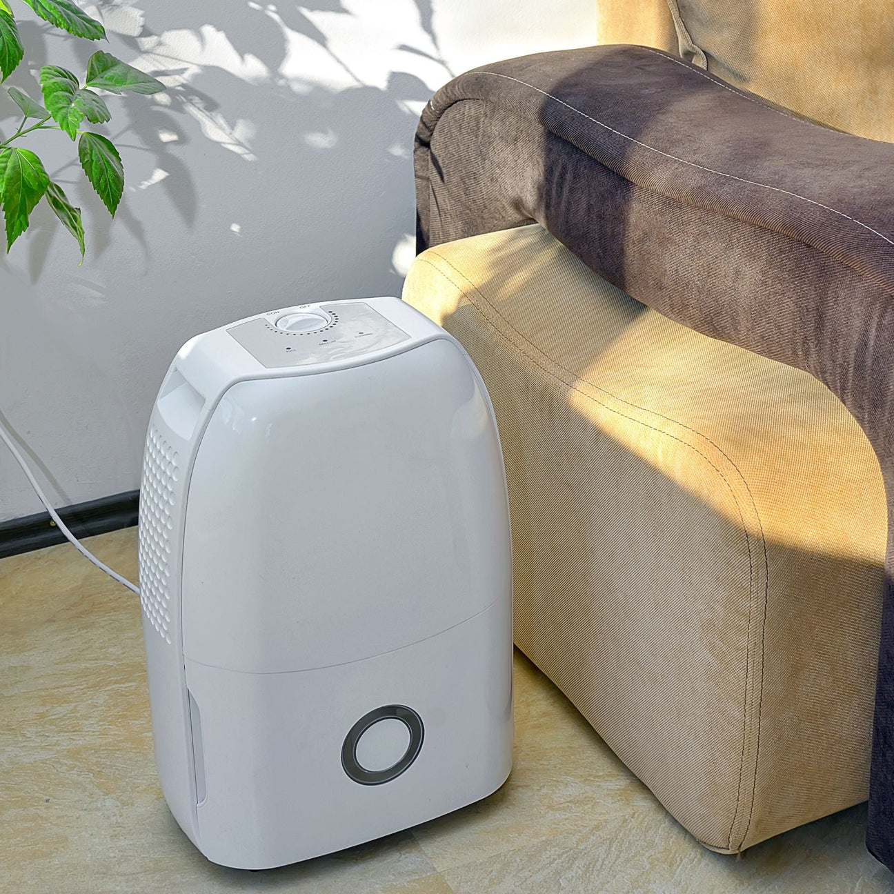 Déshumidificateurs