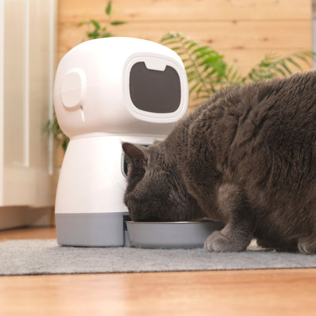 Distributeurs de croquettes & Fontaines à eau