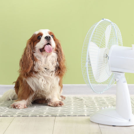 Ventilateurs Brumisateurs