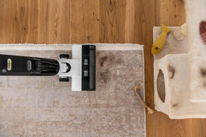 Karcher Aspirateur laveur FCV 3