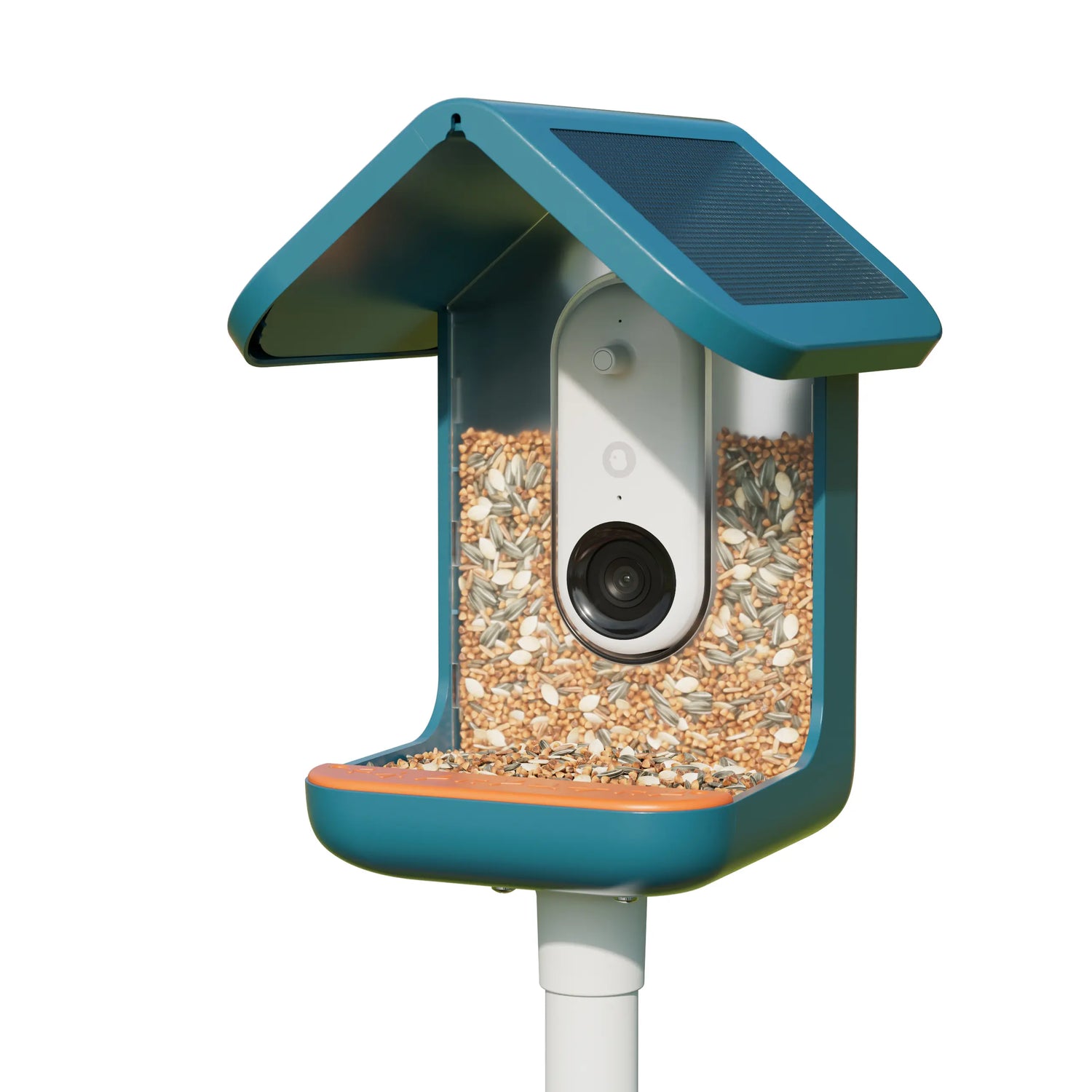 Birdbuddy Mangeoire à Oiseaux Pro Solar Smart Bird Feeder