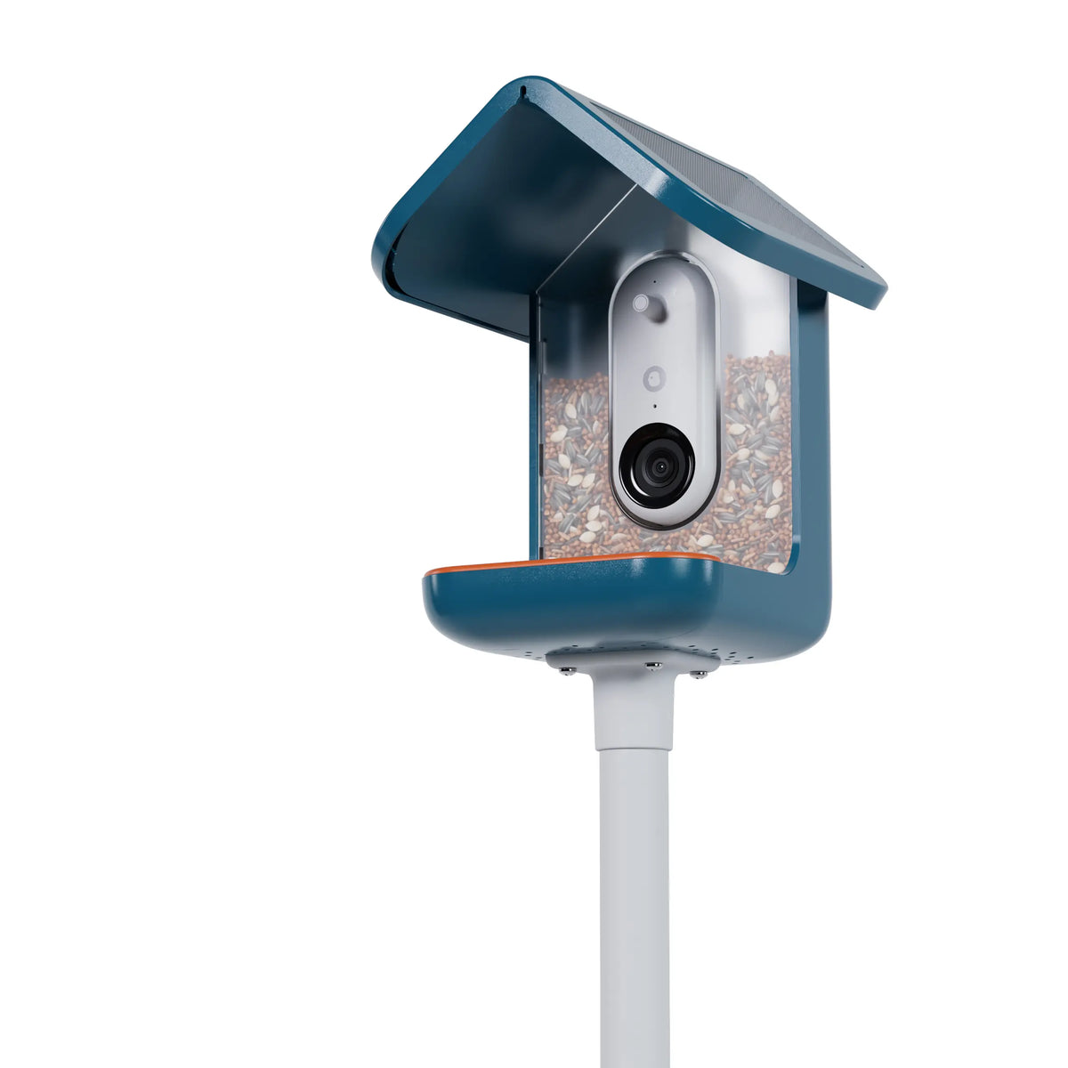 Birdbuddy Mangeoire à Oiseaux Pro Solar Smart Bird Feeder