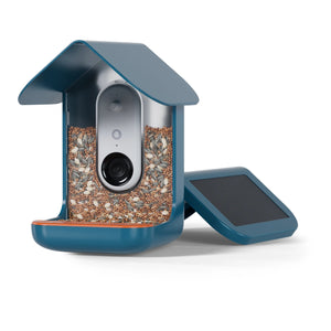 Birdbuddy Mangeoire à Oiseaux Pro Solar Smart Bird Feeder