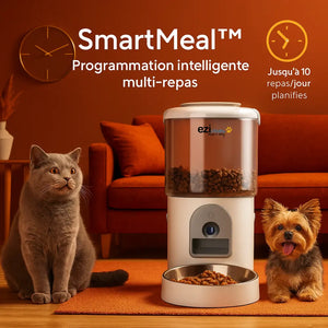 Eziclean Distributeur de croquettes et fontaine pour chat et petit chien Nutribot Cam+