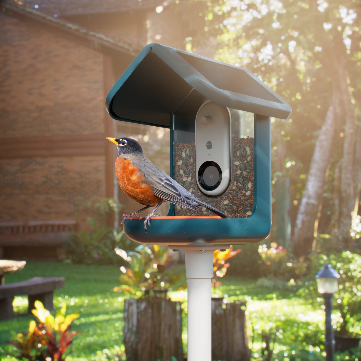 Birdbuddy Mangeoire à Oiseaux Pro Solar Smart Bird Feeder