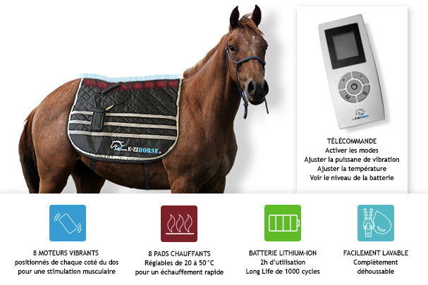 Ezihorse Tapis de massage vibrant et chauffant pour chevaux Back Comfort