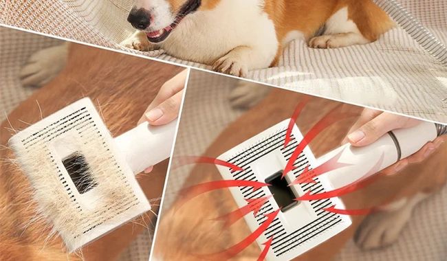 Eziclean Station de toilettage Animal