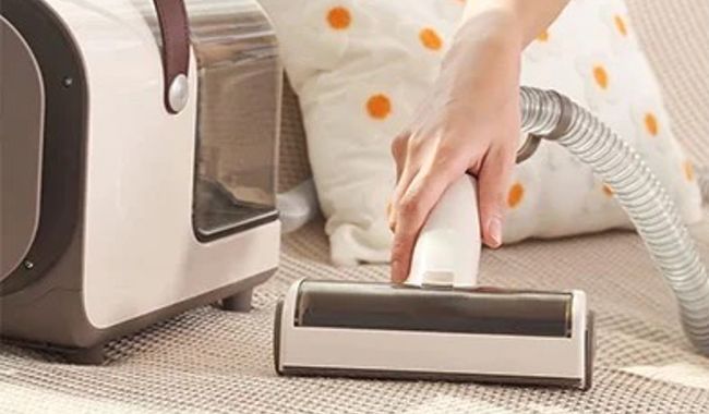 Eziclean Station de toilettage Animal