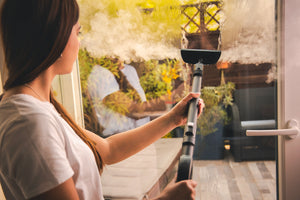 POLTI Nettoyeur vapeur traineau Vaporetto Smart 110 Eco