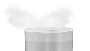 Rowenta Humidificateur Aqua boost 2,5L
