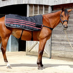 Ezihorse Couverture de massage vibrante et chauffante pour chevaux Back pro