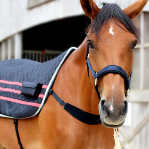 Ezihorse Couverture de massage vibrante et chauffante pour chevaux Back pro