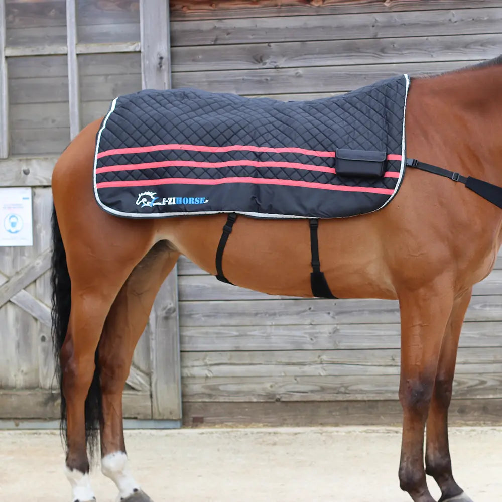 Ezihorse Couverture de massage vibrante et chauffante pour chevaux Back pro