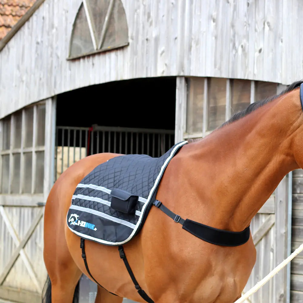 Ezihorse Tapis de massage vibrant et chauffant pour chevaux Back Comfort