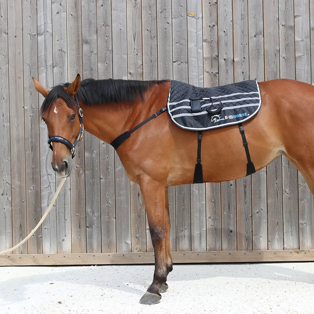 Ezihorse Tapis de massage vibrant et chauffant pour chevaux Back Comfort