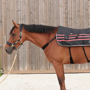 Ezihorse Couverture de massage vibrante et chauffante pour chevaux Back pro