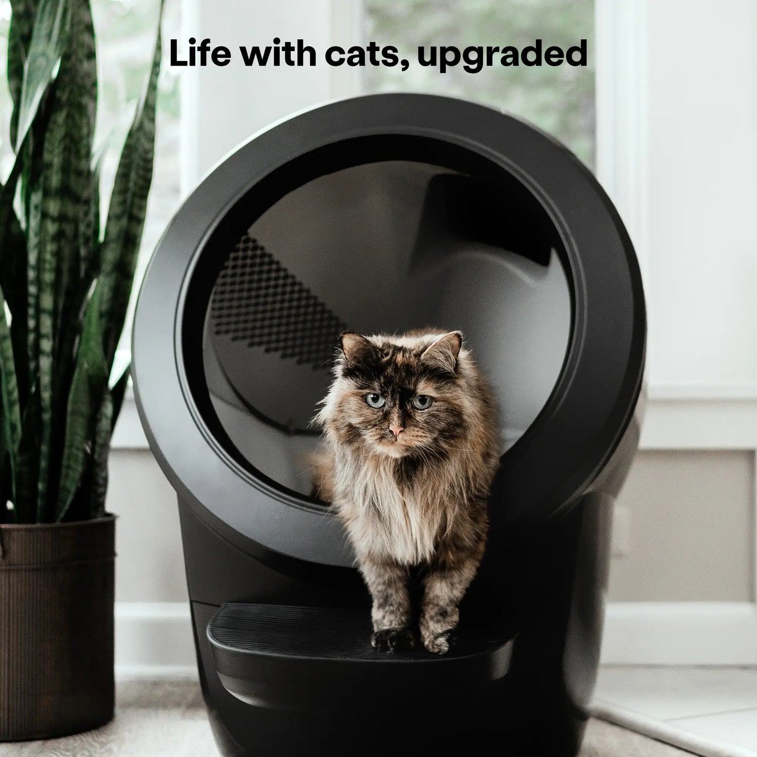 Litter-Robot 4 Litière automatique