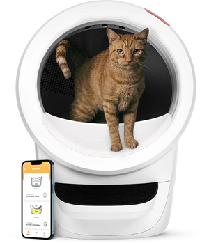 Litter-Robot 4 Litière automatique
