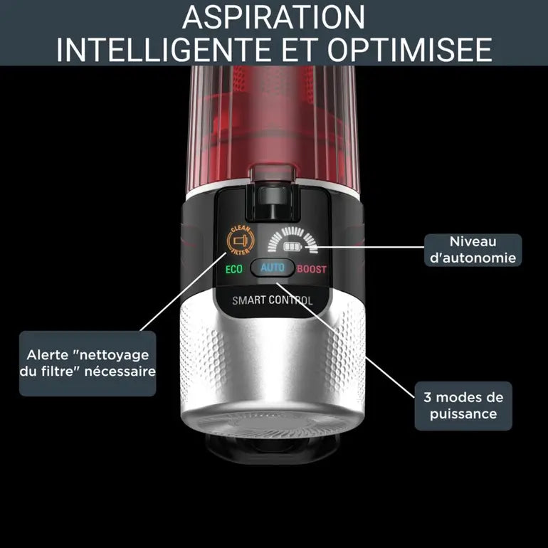 Rowenta Aspirateur balai X-Force Flex 9.60 Kit Animal