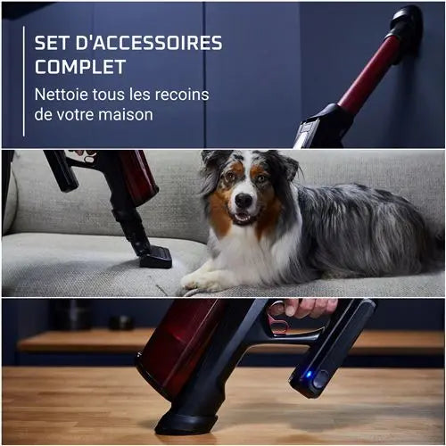 Rowenta Aspirateur balai X-Force Flex 13.60 Kit Animal