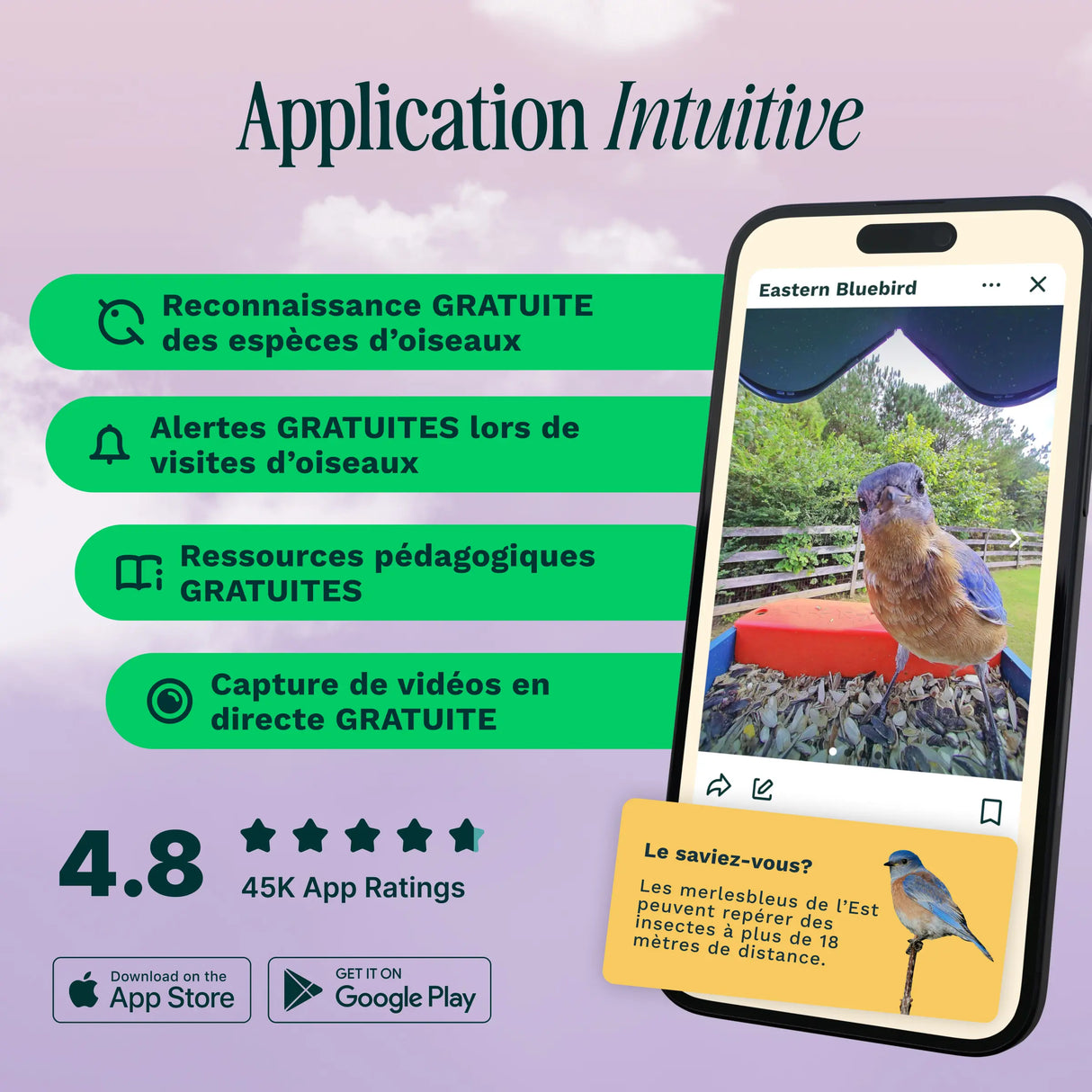 Birdbuddy Mangeoire à Oiseaux Pro Solar Smart Bird Feeder