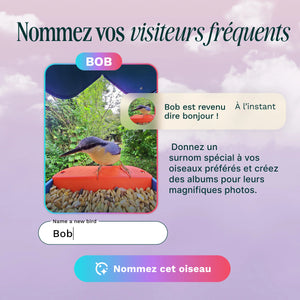 Birdbuddy Mangeoire à Oiseaux Pro Solar Smart Bird Feeder